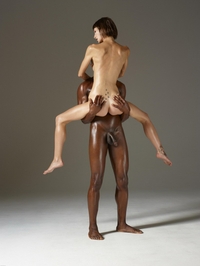 Sexrobats