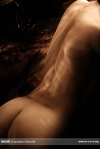 Flesh & Oil