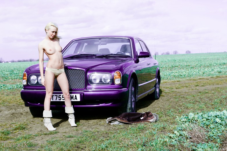 Purple Bentley