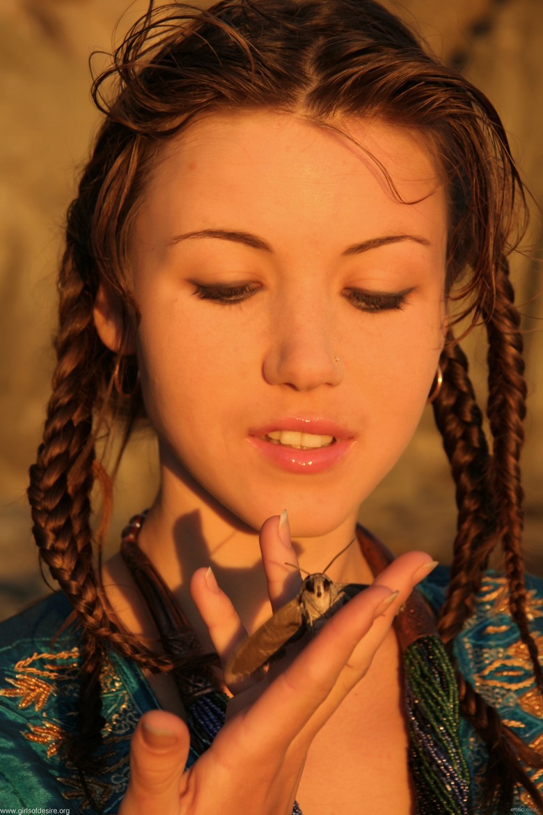 Firebird on the rocks