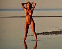 Marilyn Winters's Reflections