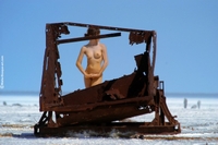 Marina In Desert