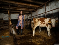 Csenge is a Farmer Grooming the Calves